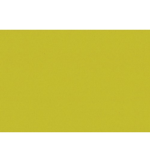 Ρόλερ seasons fabric σειρά (κωδ. carnival-chartreuse)