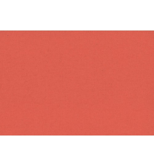 Ρόλερ seasons fabric σειρά (κωδ. carnival-coral)